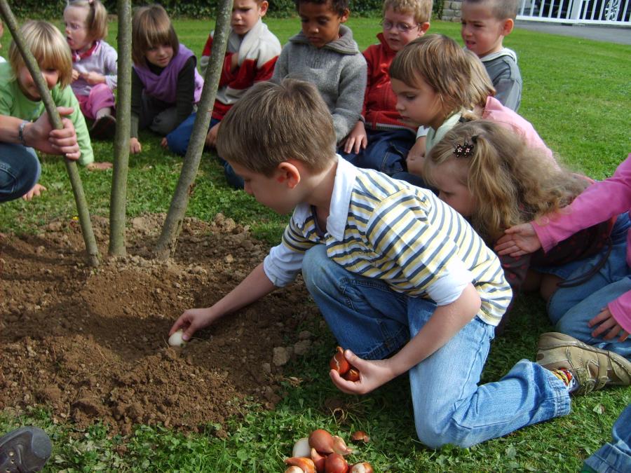 Ecole maternelle et primaire de Barvaux