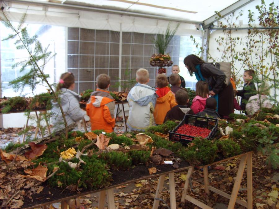 Ecole maternelle et primaire de Barvaux